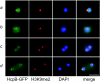 FIG. 6.