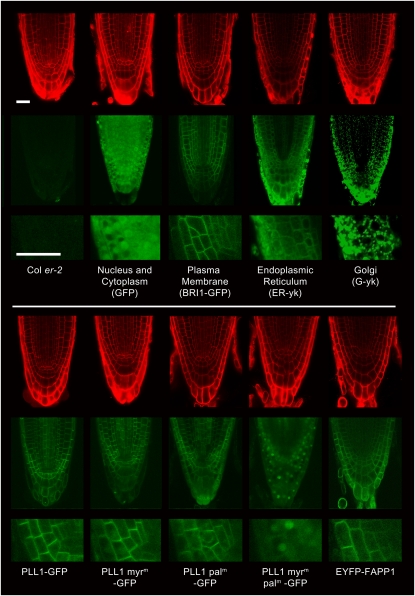 Figure 2.