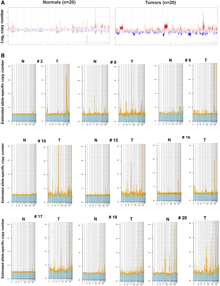 Fig. 3