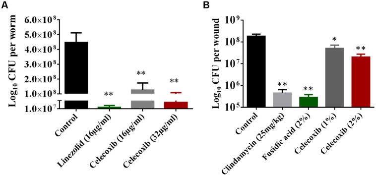 FIGURE 4