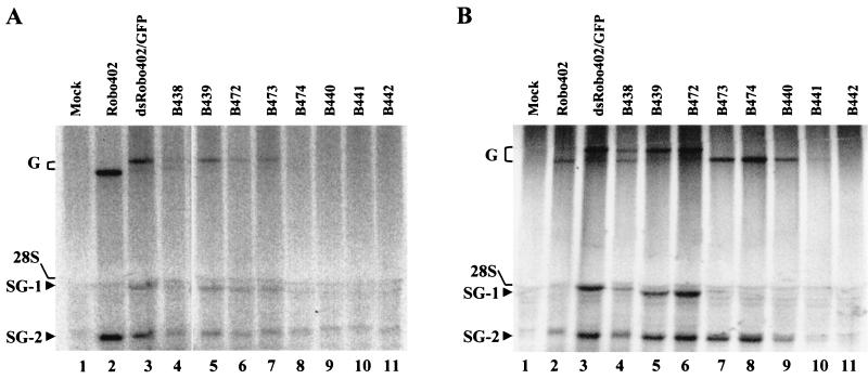 FIG. 3.