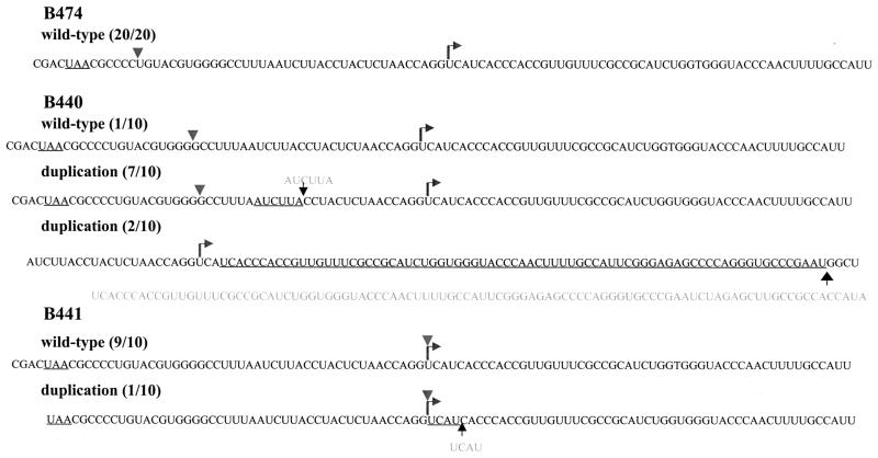 FIG. 6.