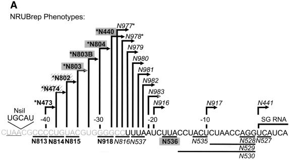 FIG. 5.