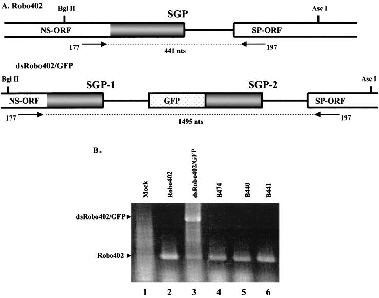 FIG. 4.