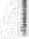 FIG. 3.