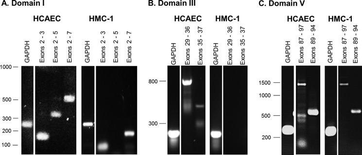 FIGURE 9.