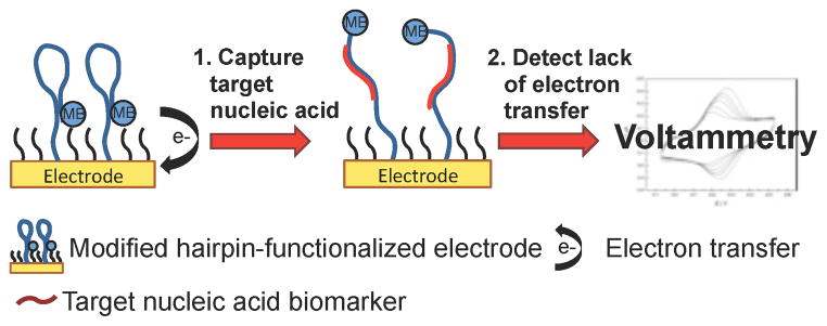 Scheme 3