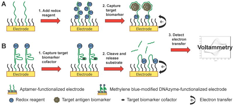 Scheme 8