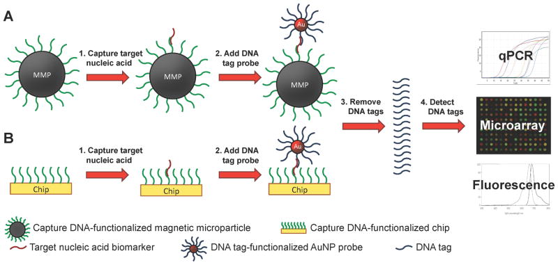 Scheme 5