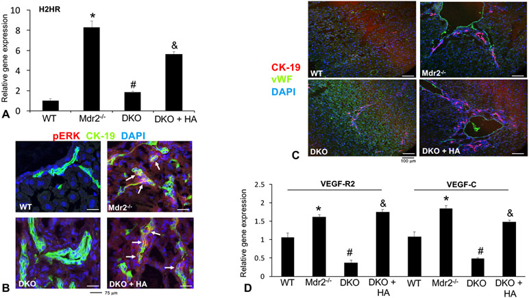 Figure 6: