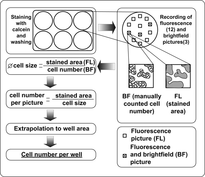 Fig. 1