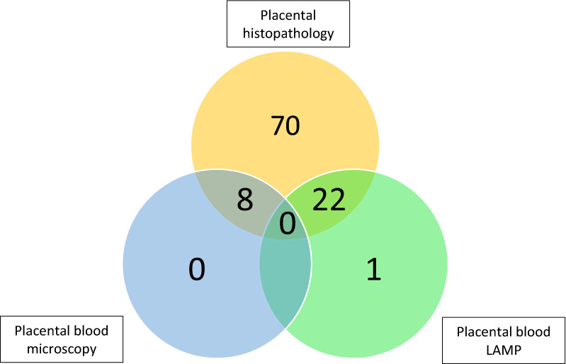 Fig. 2