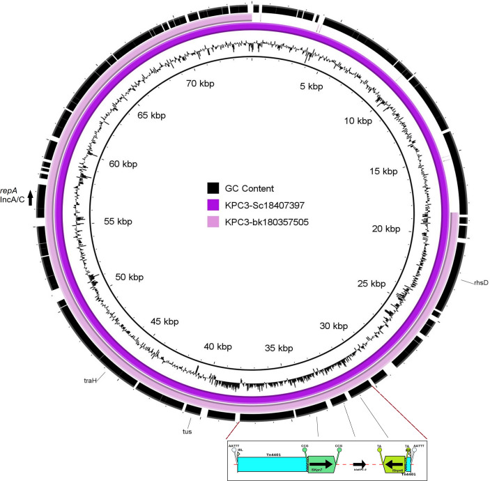 Figure 3