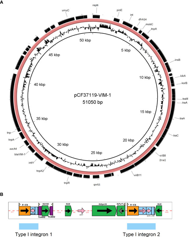 Figure 5