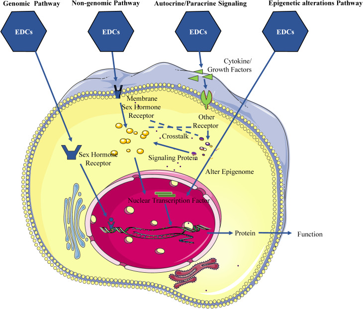 Figure 4