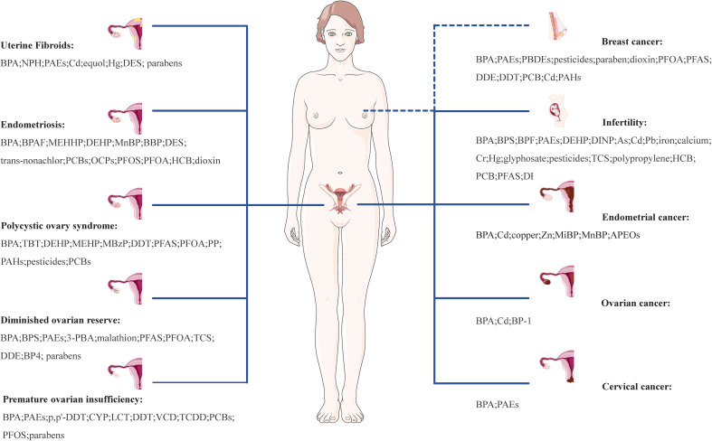 Figure 2