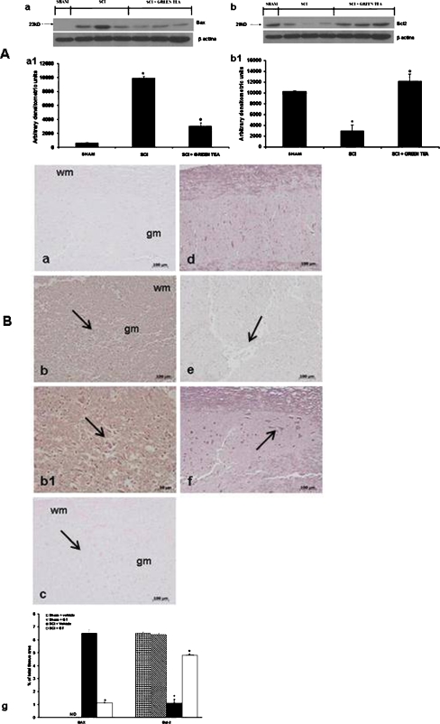 Fig. 7