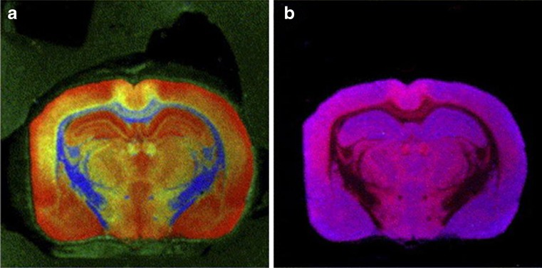 Fig. 9