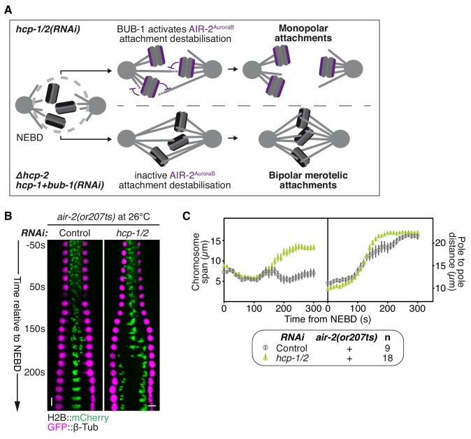 Figure 5—figure supplement 1.