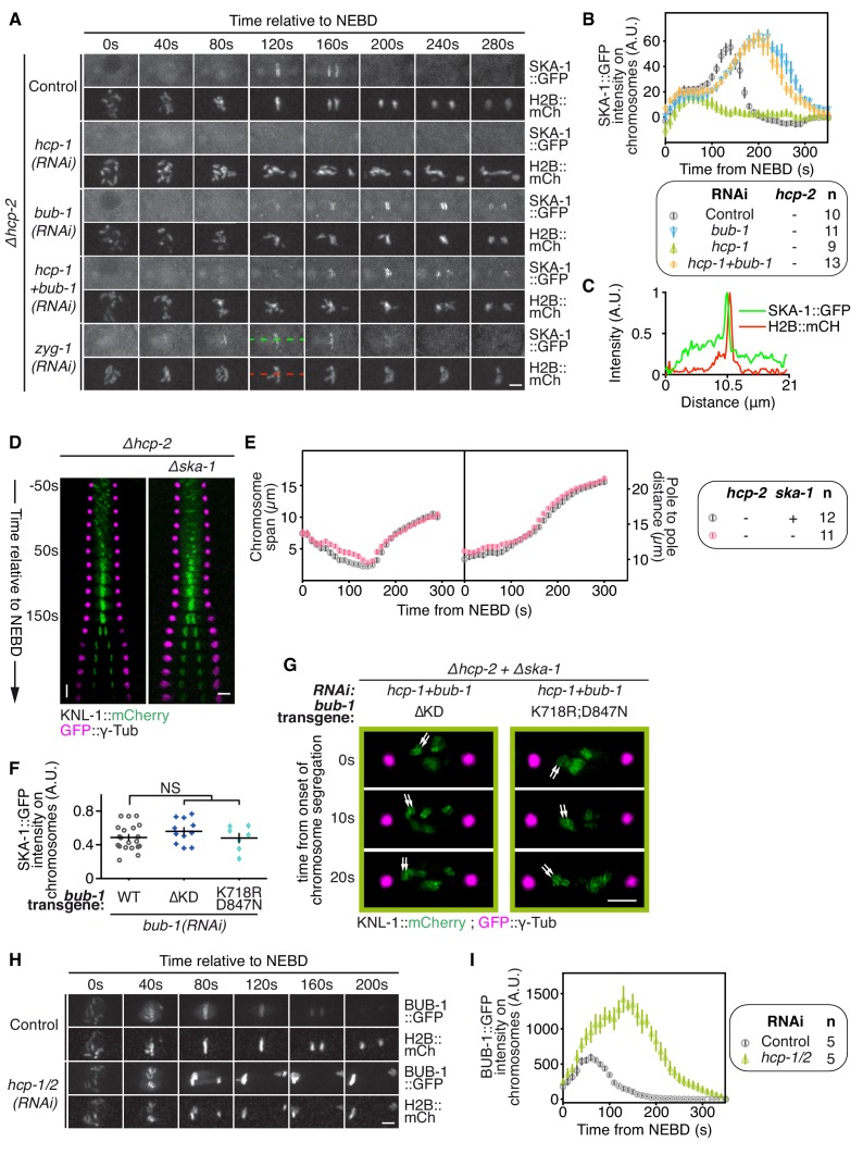 Figure 5—figure supplement 2.