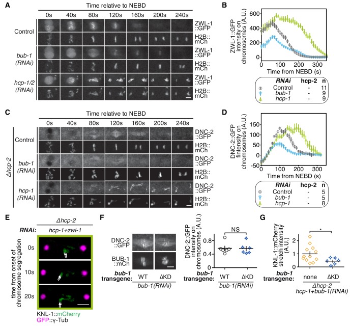 Figure 4—figure supplement 1.