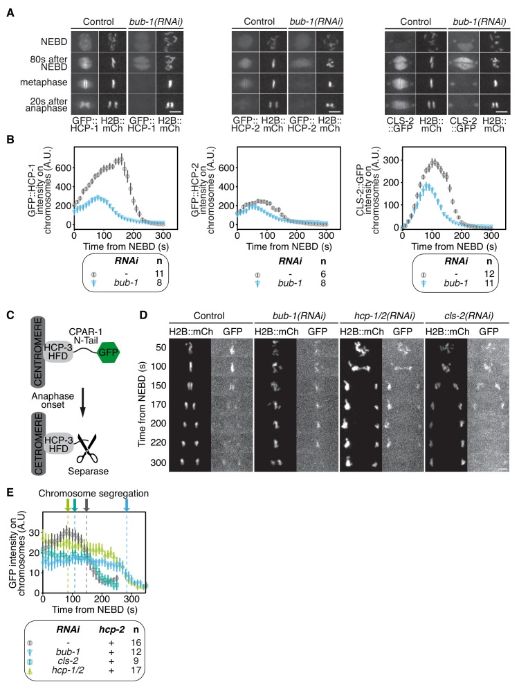 Figure 1—figure supplement 1.