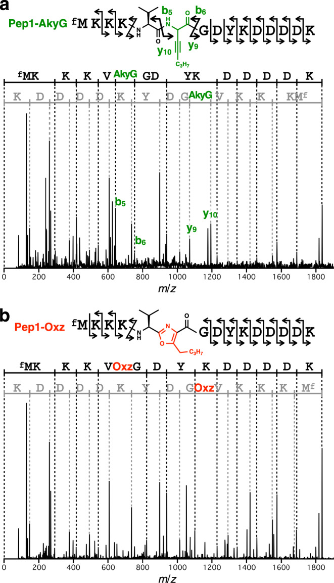 Fig. 3