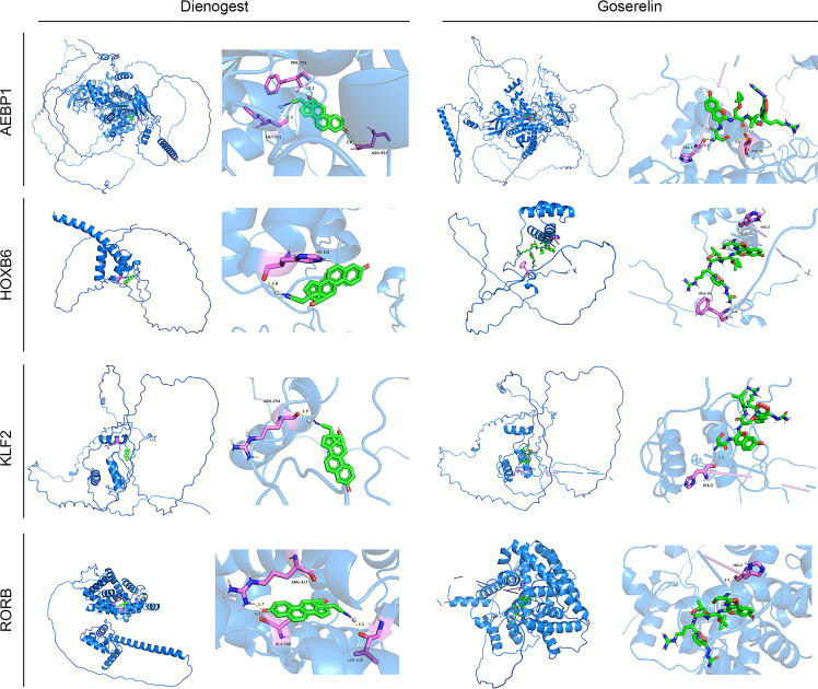 Figure 12