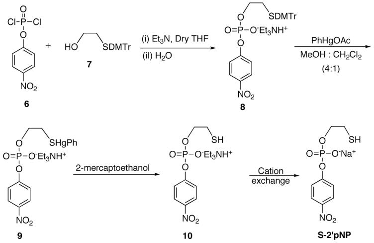 Scheme 1