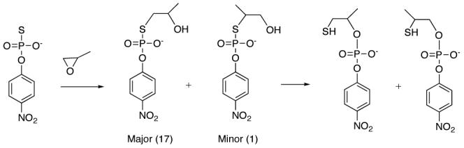 Scheme 2