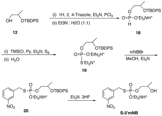 Scheme 6