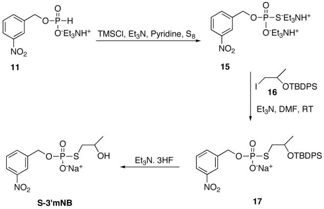 Scheme 4