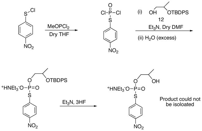 Scheme 5