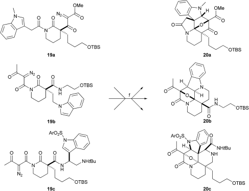 Scheme 6