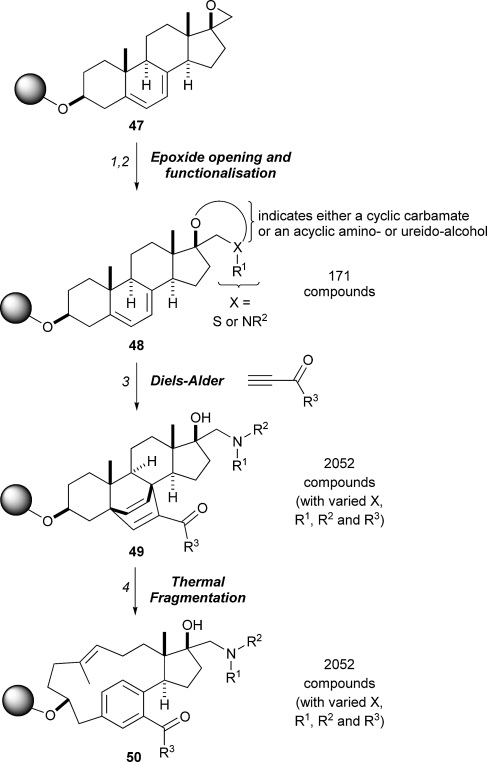 Scheme 15