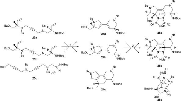 Scheme 8