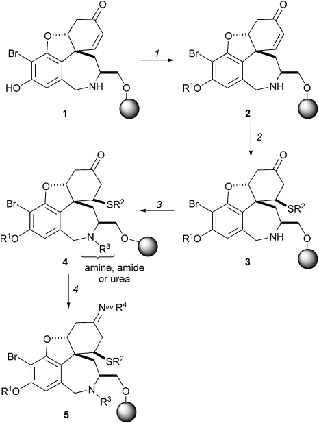 Scheme 1