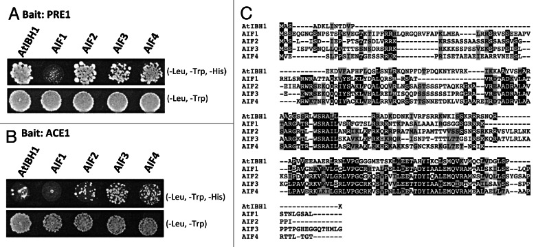 graphic file with name psb-8-e23448-g1.jpg