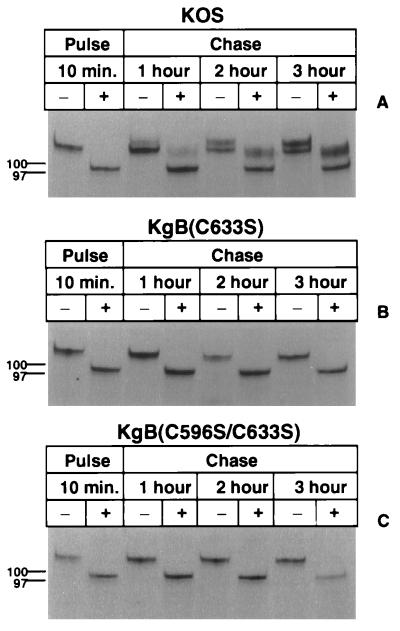 FIG. 5