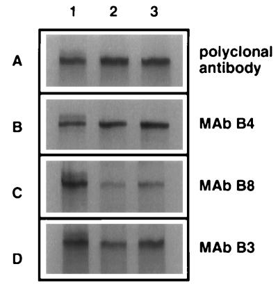 FIG. 8