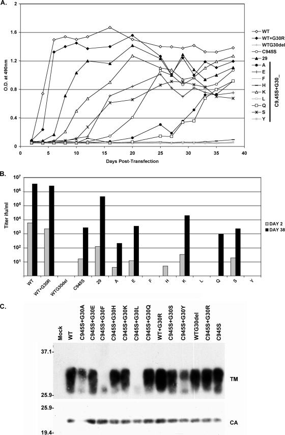 FIG. 4.