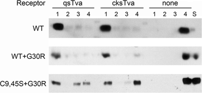 FIG. 6.