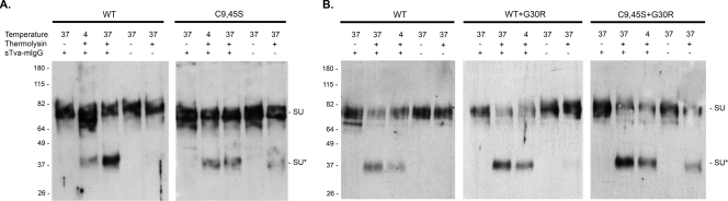 FIG. 5.