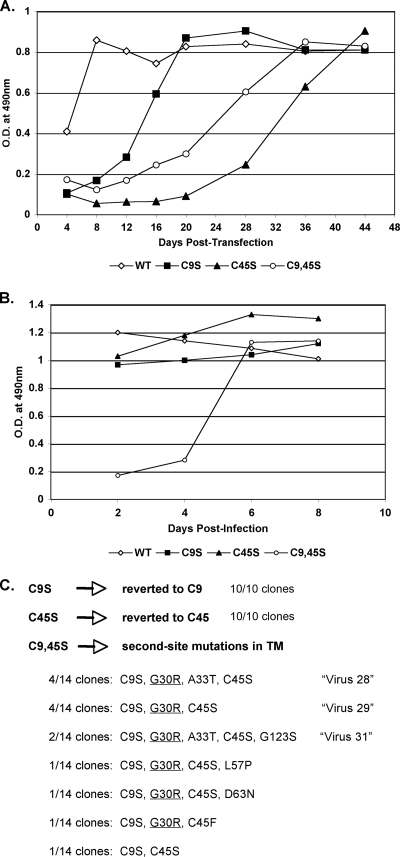 FIG. 2.