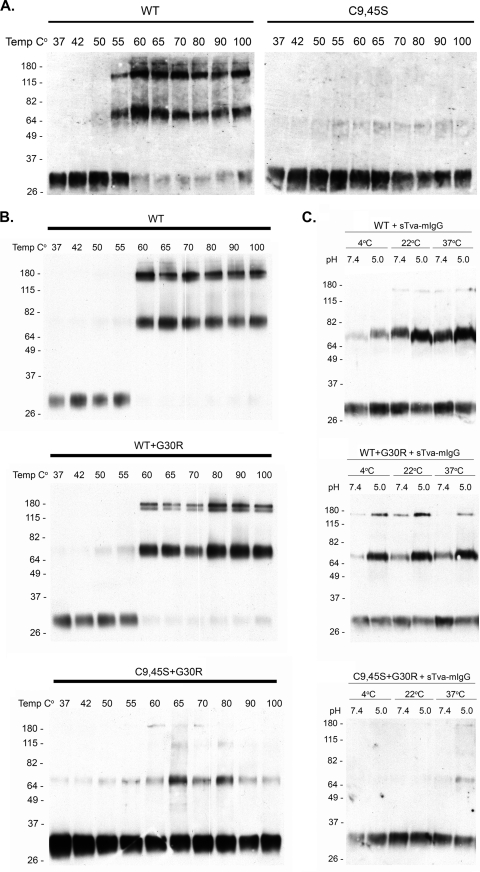 FIG. 7.