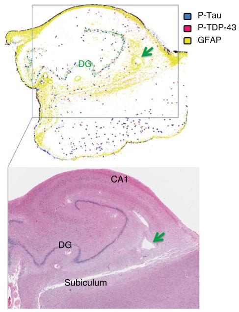 Fig. 3