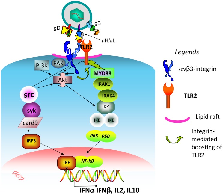 Figure 11