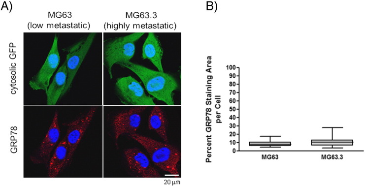 Supplementary Figure 1