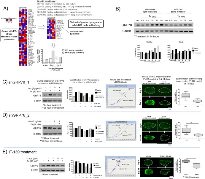 Supplementary Figure 3