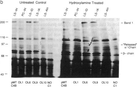 graphic file with name pnas01042-0404-c.jpg